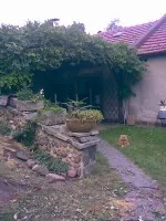 Nejrozkvetlejší terasa či pergola