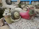 Hlemýžď s největším barákem