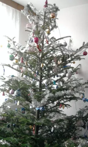 vánoční stromeček