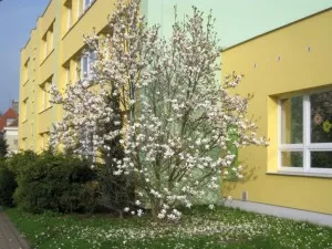 Prvomájová procházka 2013 Prvomájová procházka 2013