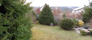 Ještěrková zdálky