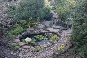 Zkreslená pespektiva